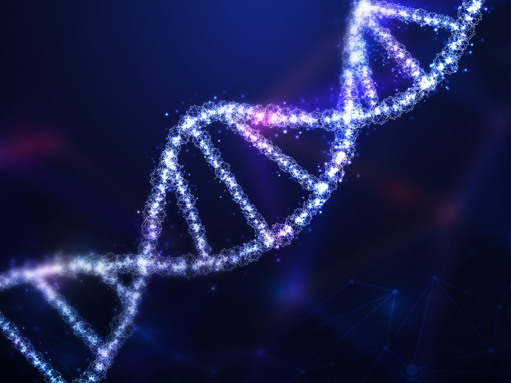 NCGM Inc genomic laboratory DNA sequencing